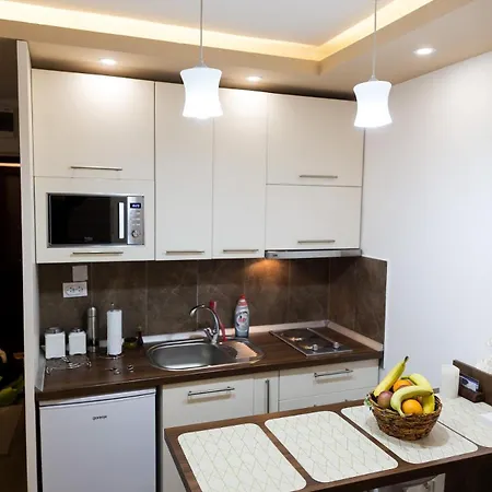 Spust Apartment *